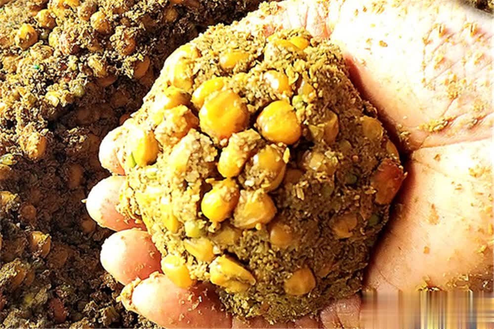 窝料讲究的, 鱼效果更加 窝料讲究的, 鱼效果更加