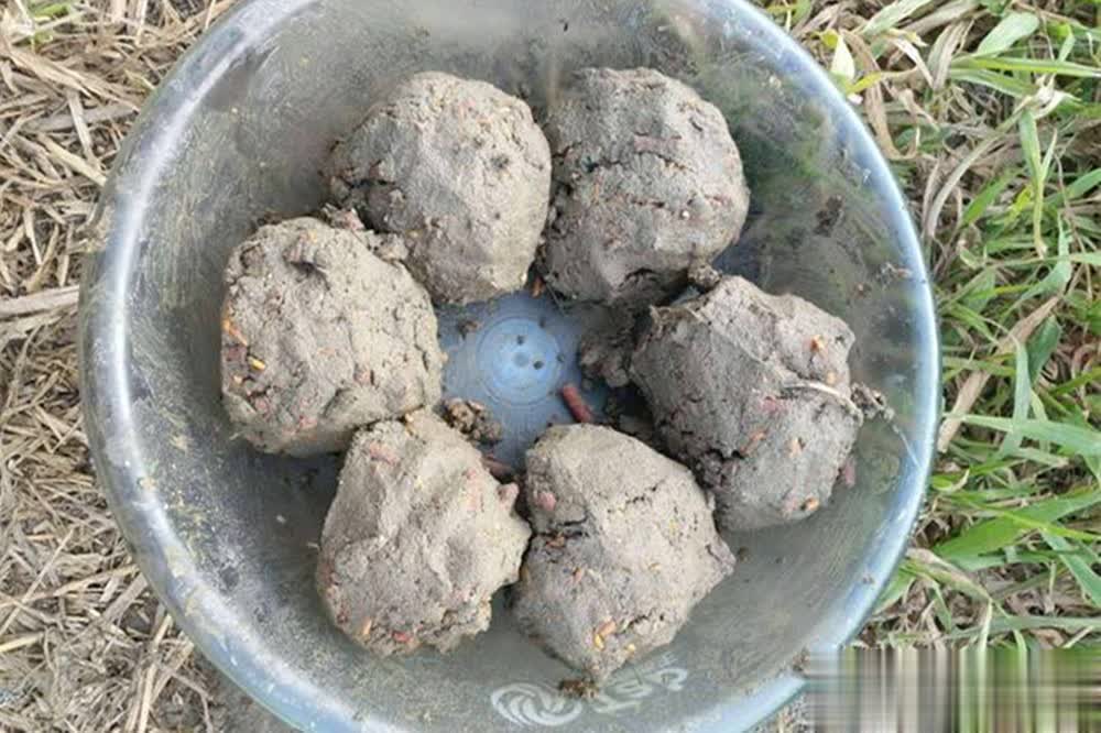 是停止进食, 漂前方还是 是停止进食, 漂前方还是