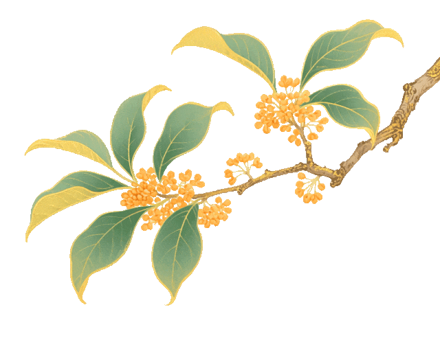 pm, px, overf pm, px, overf