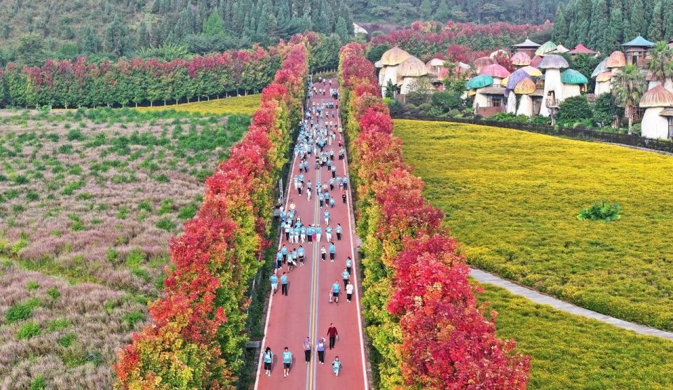 nt, 神动力 nt, 神动力